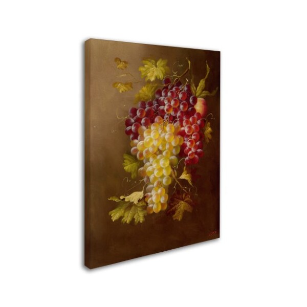 Rio 'Still Life With Grapes' Canvas Art,18x24